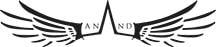 Anand Systems Logo